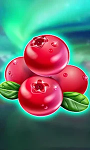 Winterberries