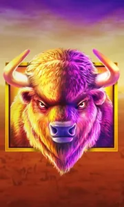Buffalo King